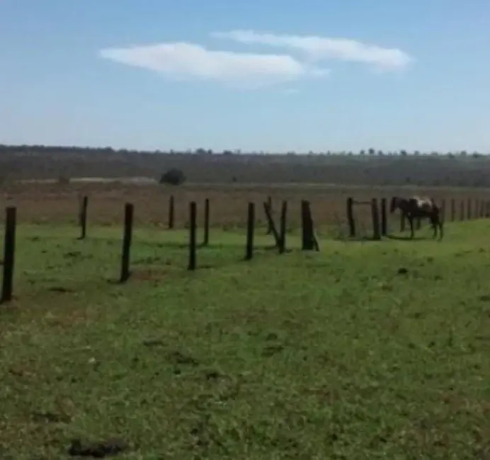 Foto 5 de Fazenda / Haras à venda em Santa Rita Do Tocantins - TO