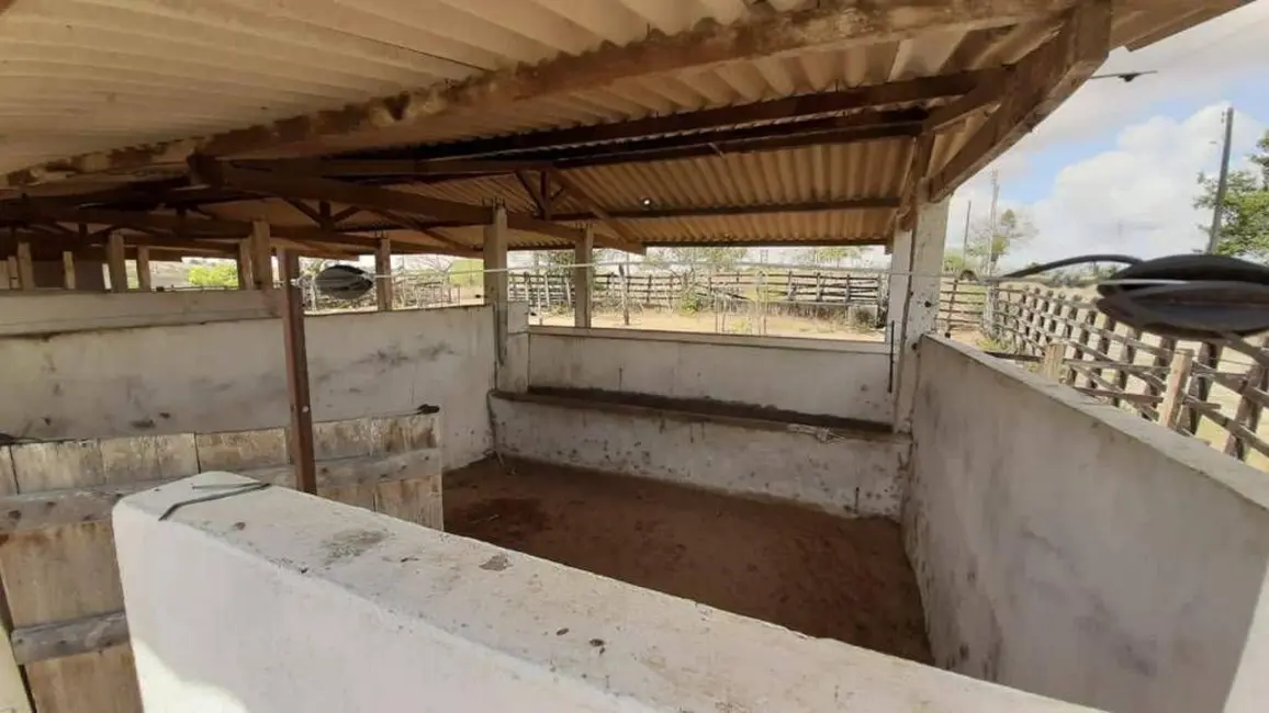 Foto 7 de Sítio / Rancho com 1 quarto à venda, 2300m2 em Sobrado - PB