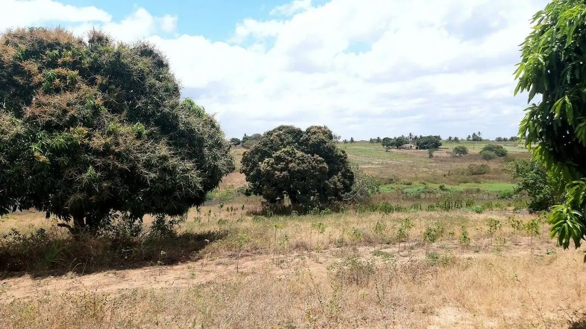 Foto 3 de Sítio / Rancho com 1 quarto à venda, 400m2 em Centro, Sobrado - PB