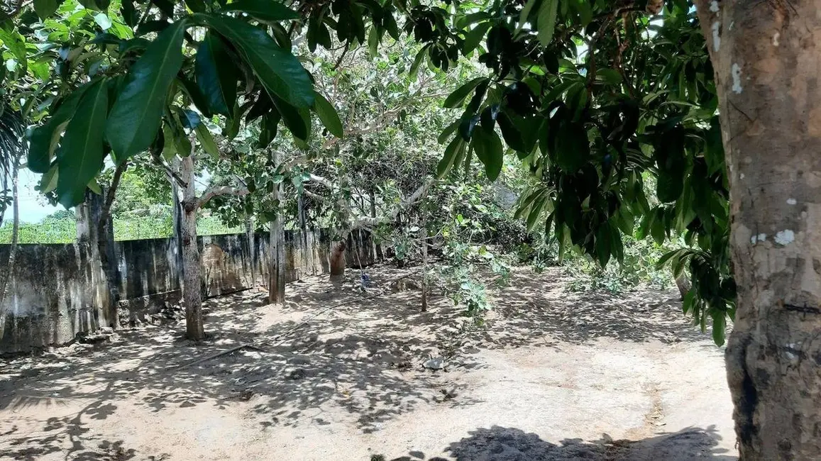 Foto 7 de Sítio / Rancho com 1 quarto à venda, 400m2 em Centro, Sobrado - PB