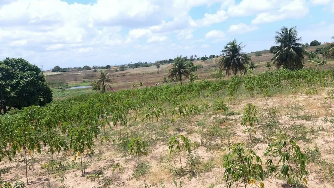 Foto 4 de Sítio / Rancho com 1 quarto à venda, 400m2 em Centro, Sobrado - PB