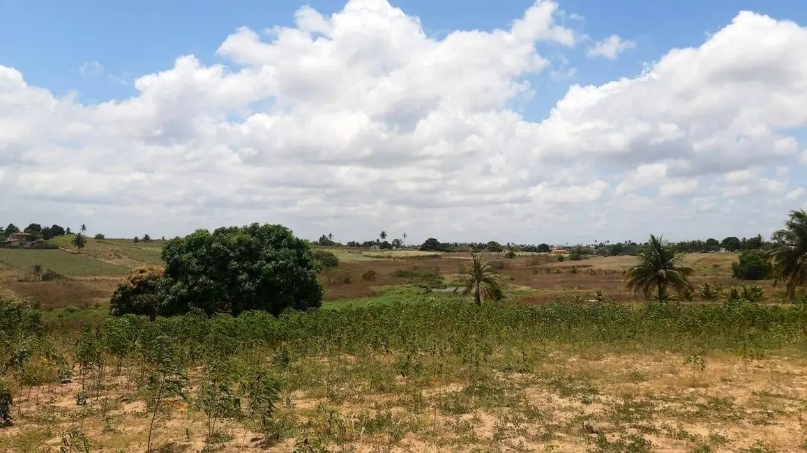 Foto 2 de Sítio / Rancho com 1 quarto à venda, 400m2 em Centro, Sobrado - PB