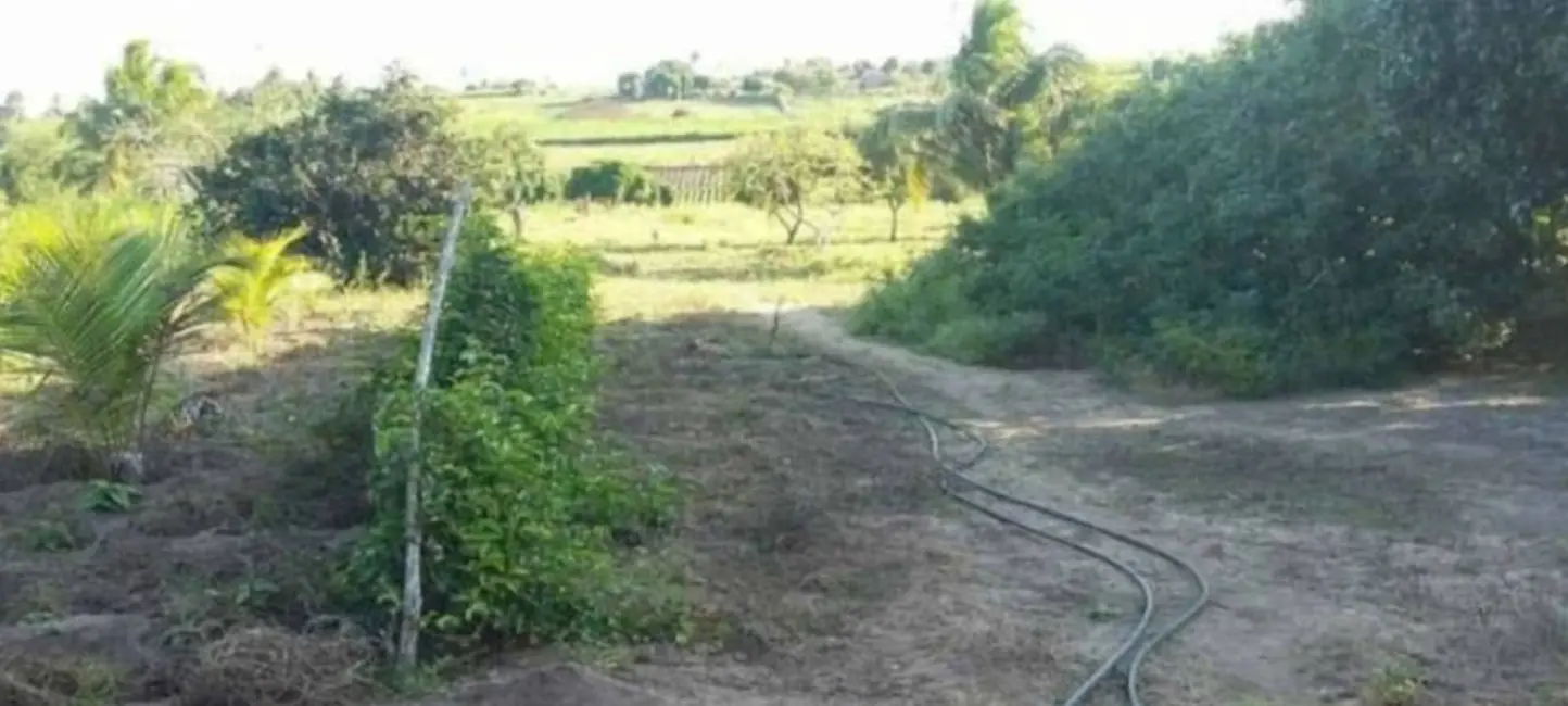 Foto 9 de Sítio / Rancho com 1 quarto à venda, 400m2 em Centro, Sobrado - PB