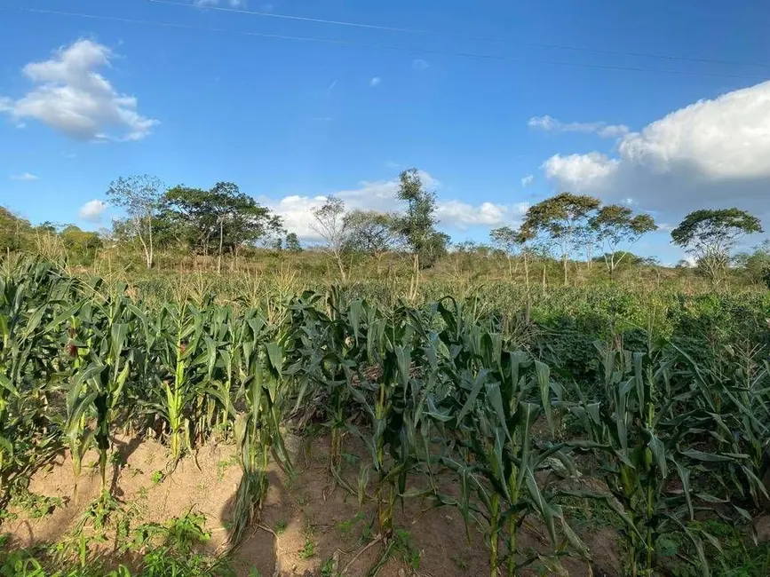 Sítio / Rancho à venda em Distritos, Bananeiras - PB - imagem 4 Foto 4 de Sítio / Rancho à venda em Distritos, Bananeiras - PB