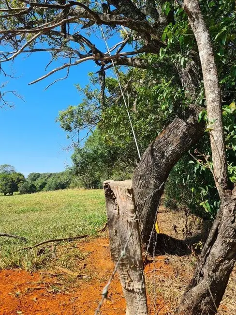 Foto 3 de Fazenda / Haras à venda, 600000m2 em Centro, Piumhi - MG