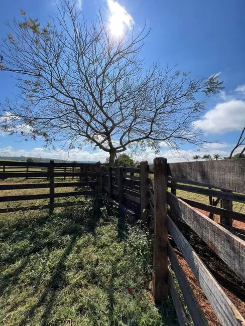 Foto 6 de Fazenda / Haras à venda, 600000m2 em Centro, Piumhi - MG