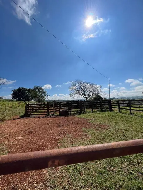 Foto 7 de Fazenda / Haras à venda, 600000m2 em Centro, Piumhi - MG