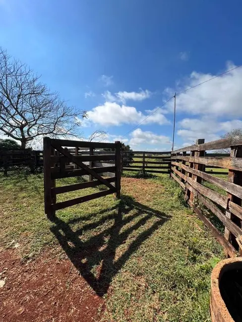 Foto 8 de Fazenda / Haras à venda, 600000m2 em Centro, Piumhi - MG