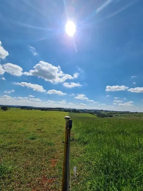Foto 4 de Fazenda / Haras à venda, 600000m2 em Centro, Piumhi - MG