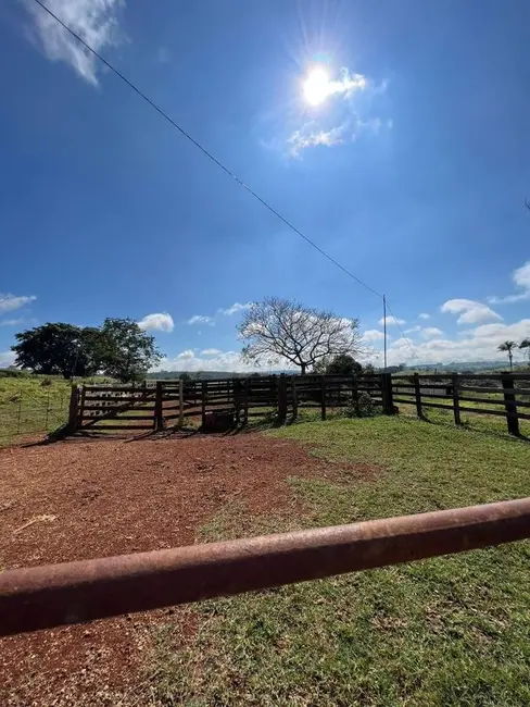 Foto 9 de Fazenda / Haras à venda, 600000m2 em Centro, Piumhi - MG