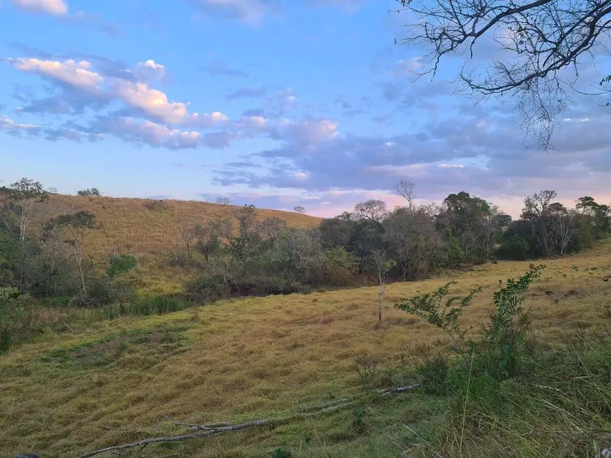 Foto 1 de Fazenda / Haras à venda, 600000m2 em Centro, Piumhi - MG