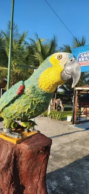 Foto 3 de Chácara com 2 quartos à venda, 14200m2 em Pedras De Fogo - PB