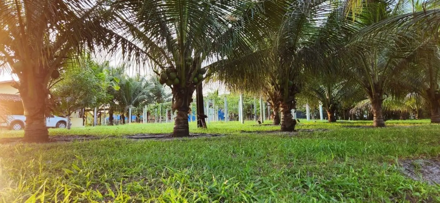 Foto 7 de Chácara com 2 quartos à venda, 14200m2 em Pedras De Fogo - PB
