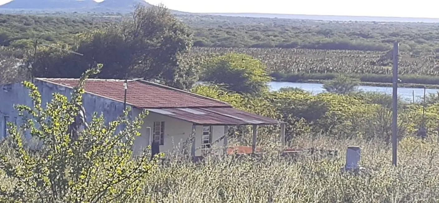 Foto 6 de Fazenda / Haras à venda, 1210000m2 em Cardeal Brandão Vilela, Paulo Afonso - BA