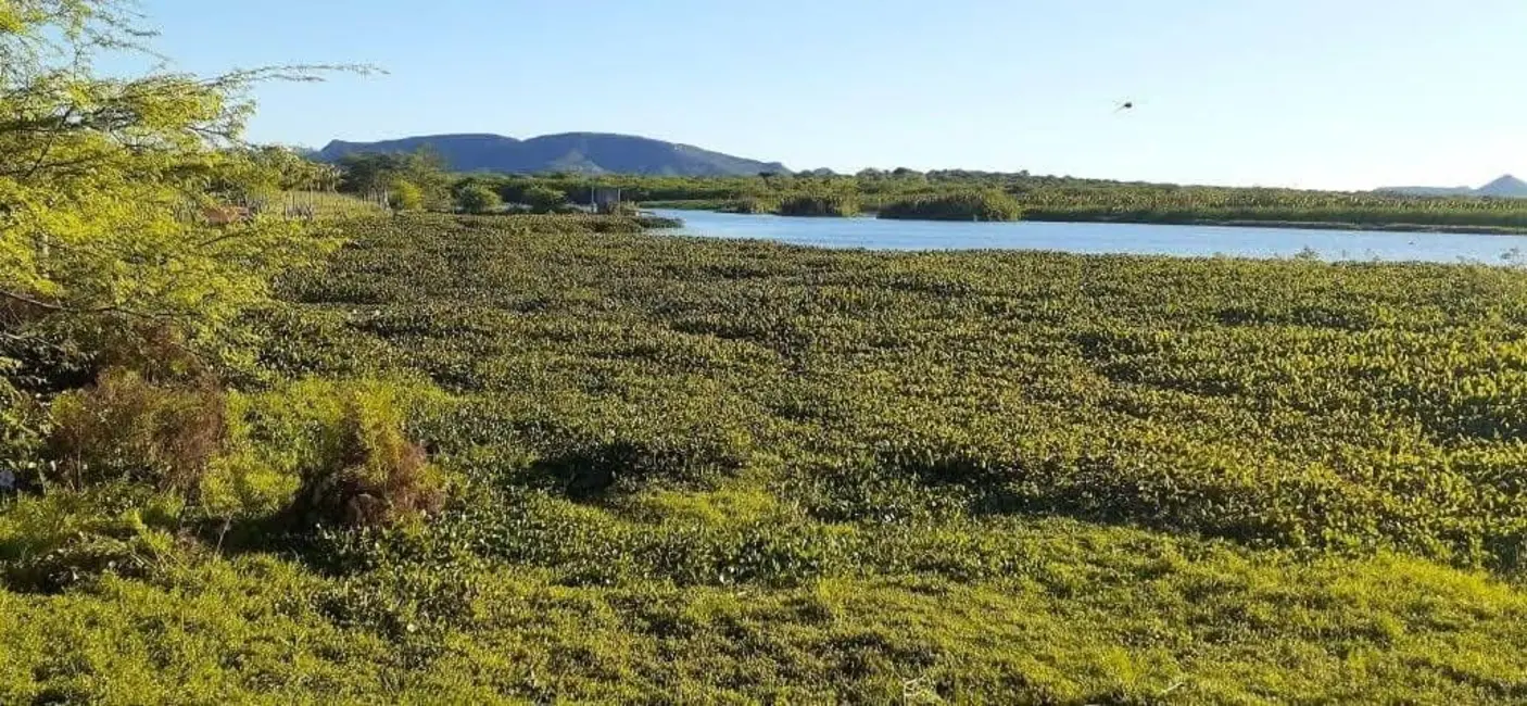 Foto 1 de Fazenda / Haras à venda, 1210000m2 em Cardeal Brandão Vilela, Paulo Afonso - BA