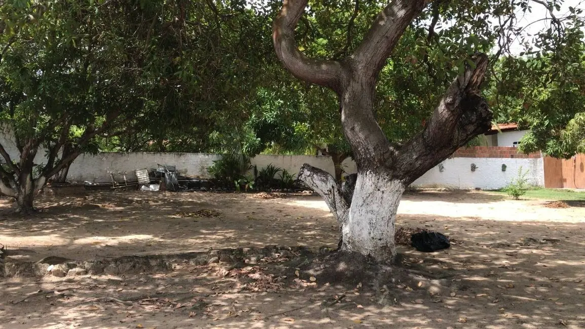 Foto 3 de Casa com 4 quartos à venda, 900m2 em Conde - PB