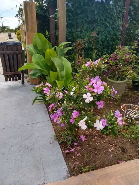 Apartamento com 3 quartos à venda, 225m2 em Bananeiras - PB - imagem 5 Foto 5 de Apartamento com 3 quartos à venda, 225m2 em Bananeiras - PB