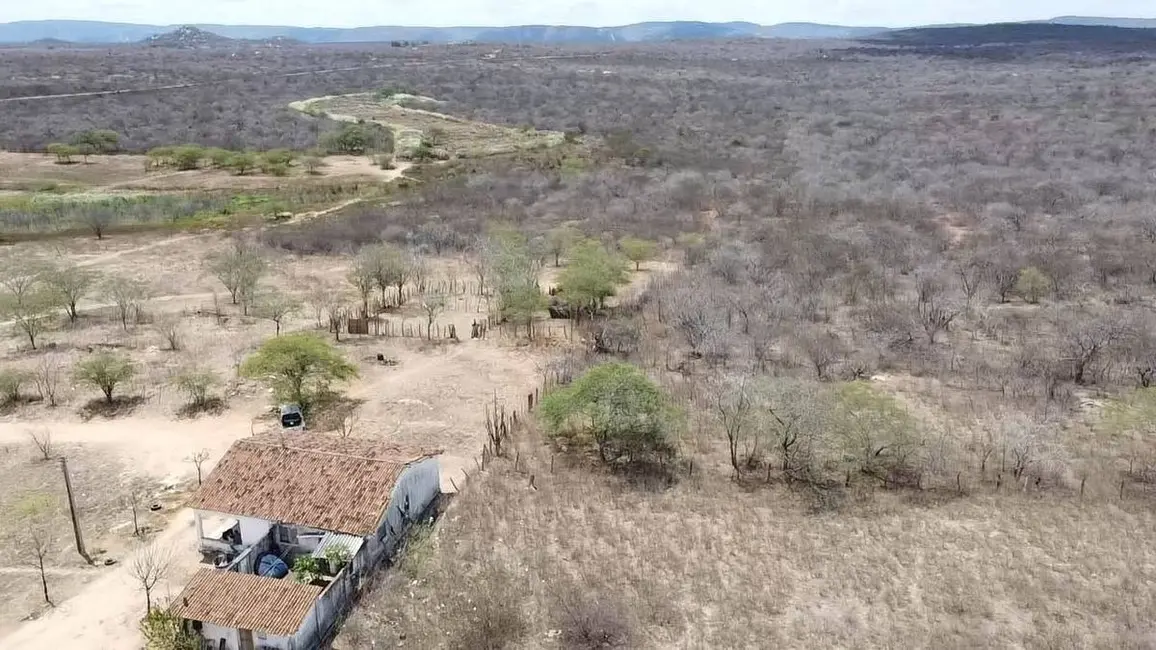 Foto 4 de Armazém / Galpão à venda, 15700000m2 em Centro, Taperoa - PB
