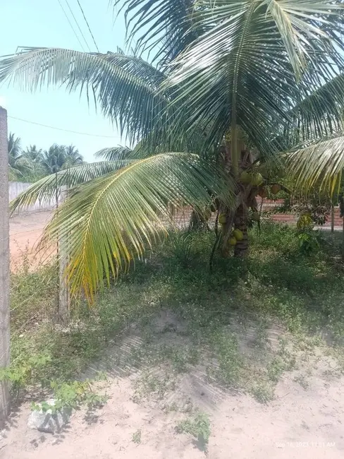 Foto 5 de Sítio / Rancho com 2 quartos à venda, 7000m2 em Conde - PB