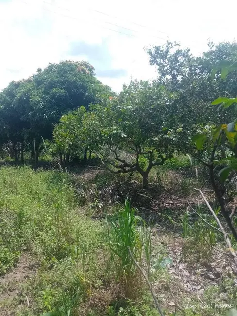 Foto 1 de Sítio / Rancho com 2 quartos à venda, 7000m2 em Conde - PB