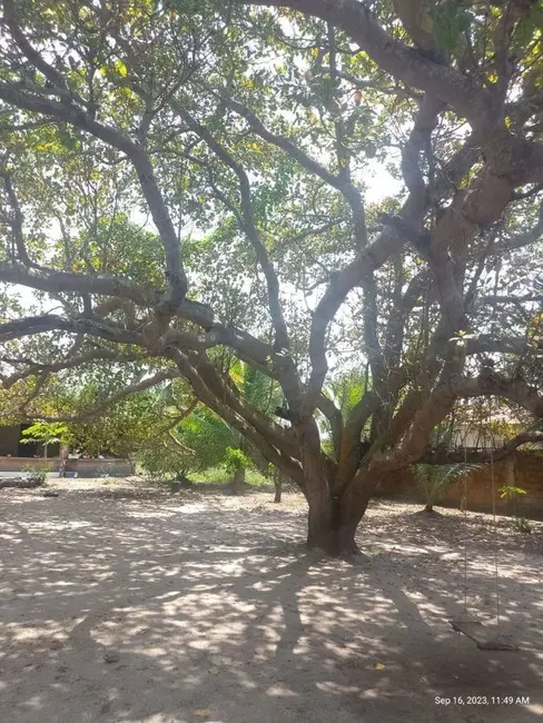 Foto 8 de Sítio / Rancho com 2 quartos à venda, 7000m2 em Conde - PB