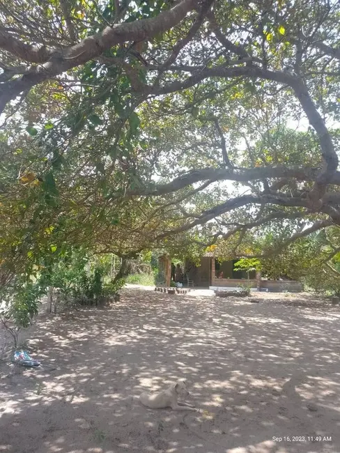 Foto 7 de Sítio / Rancho com 2 quartos à venda, 7000m2 em Conde - PB