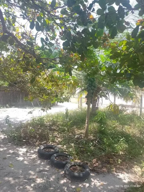 Foto 4 de Sítio / Rancho com 2 quartos à venda, 7000m2 em Conde - PB