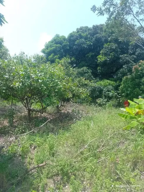 Foto 3 de Sítio / Rancho com 2 quartos à venda, 7000m2 em Conde - PB