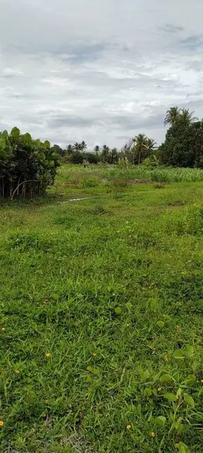 Foto 6 de Fazenda / Haras com 3 quartos à venda, 16777215m2 em Povoado, Pedras De Fogo - PB