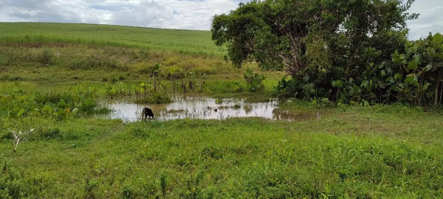 Foto 1 de Fazenda / Haras com 3 quartos à venda, 16777215m2 em Povoado, Pedras De Fogo - PB
