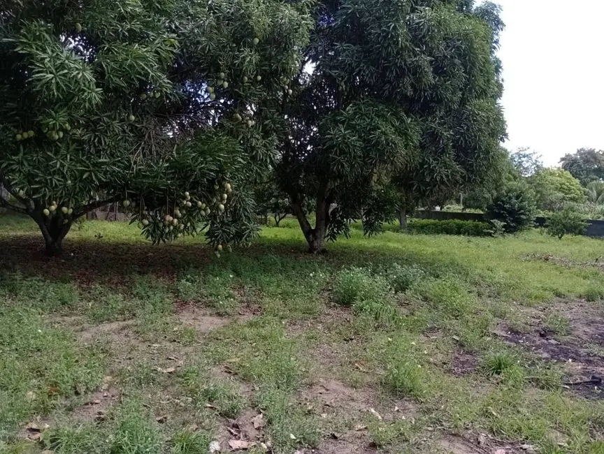 Foto 5 de Chácara com 2 quartos à venda, 200m2 em Centro, Conde - PB