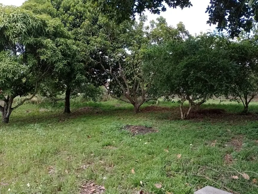 Foto 9 de Chácara com 2 quartos à venda, 200m2 em Centro, Conde - PB