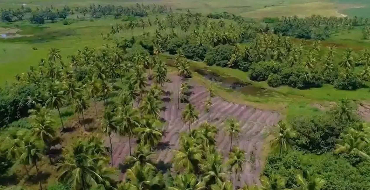 Foto 4 de Fazenda / Haras à venda, 161400m2 em Pitimbu - PB