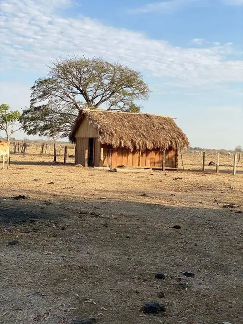 Foto 6 de Fazenda / Haras à venda, 146136m2 em Centro, Araguaiana - MT