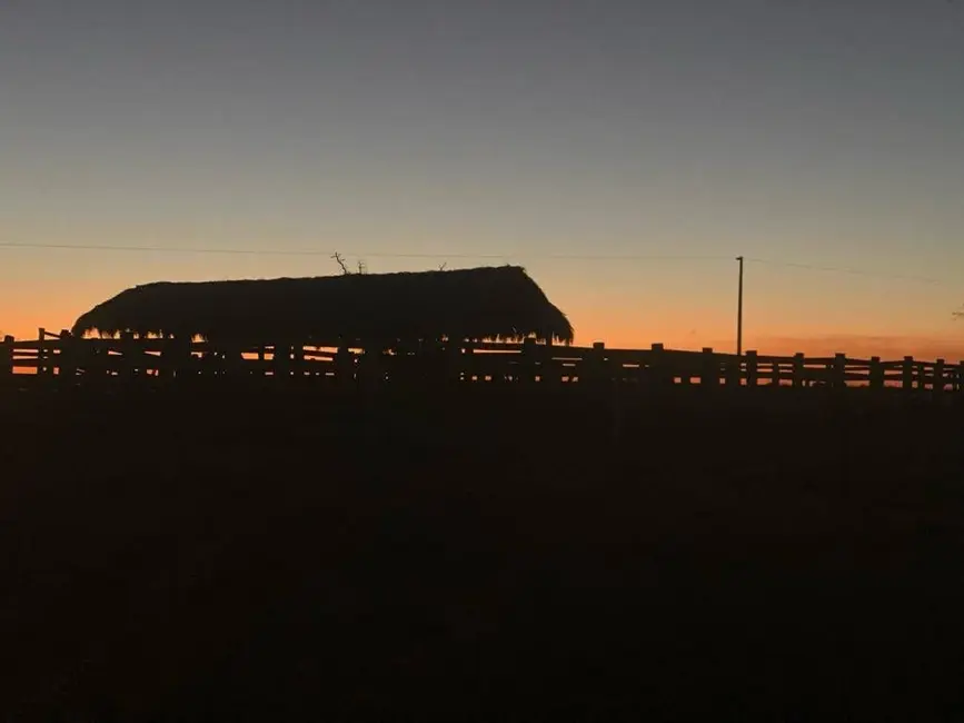 Foto 7 de Fazenda / Haras à venda, 146136m2 em Centro, Araguaiana - MT