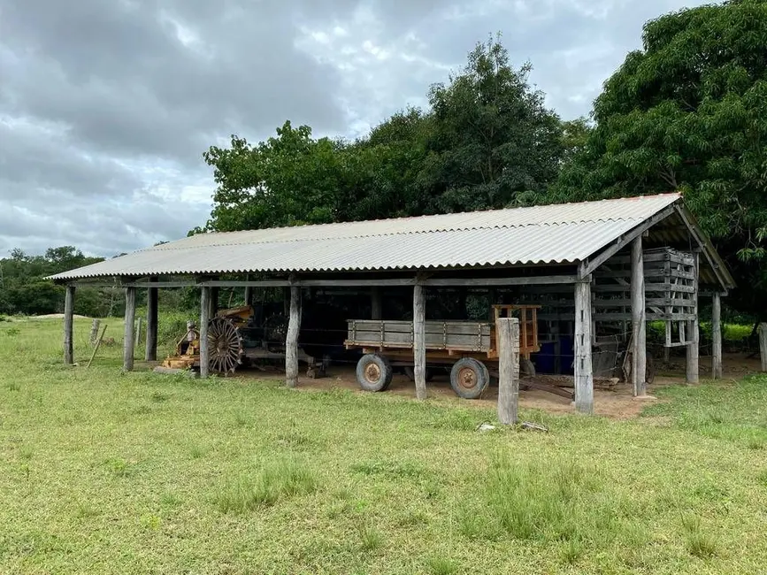 Foto 2 de Fazenda / Haras à venda, 146136m2 em Centro, Araguaiana - MT