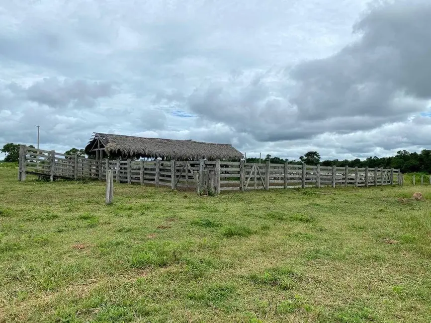 Foto 9 de Fazenda / Haras à venda, 146136m2 em Centro, Araguaiana - MT