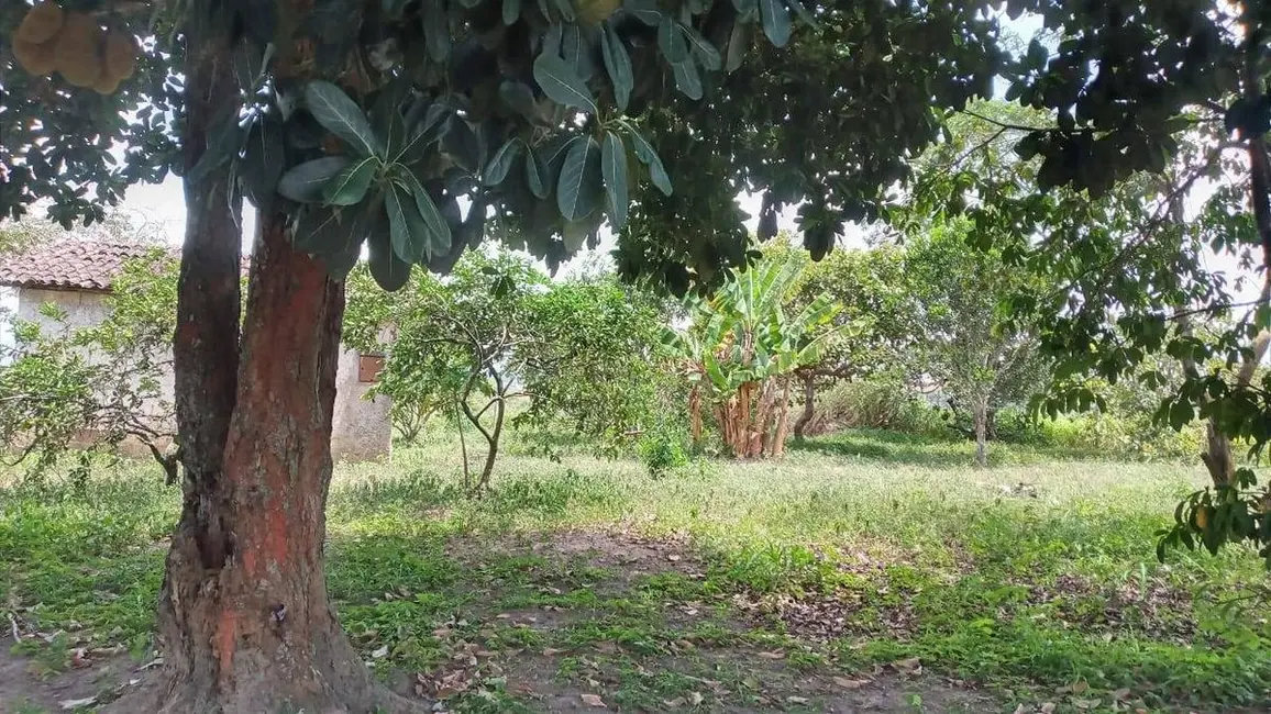 Foto 1 de Chácara com 4 quartos à venda em Centro, Solanea - PB
