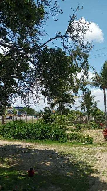 Foto 8 de Chácara com 4 quartos à venda em Centro, Solanea - PB