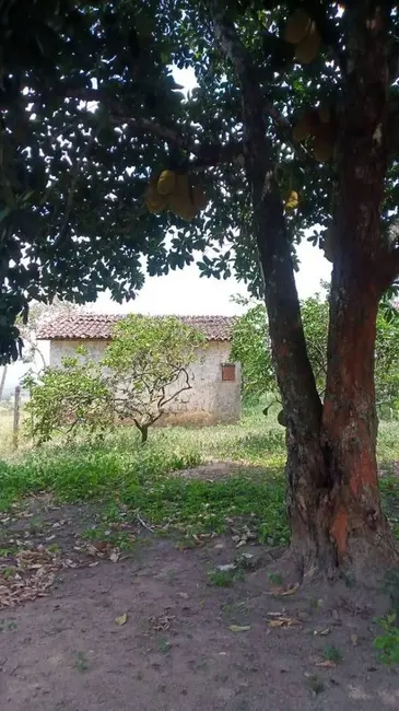 Foto 9 de Chácara com 4 quartos à venda em Centro, Solanea - PB