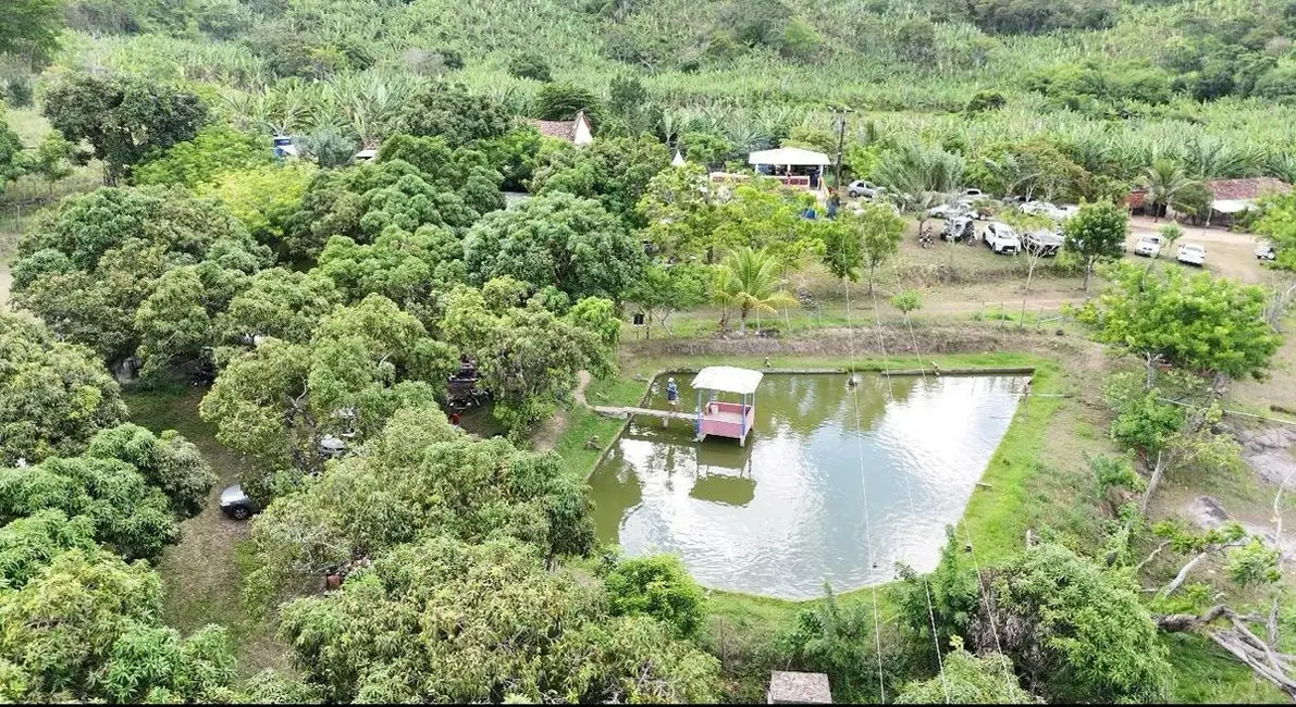 Foto 3 de Chácara com 3 quartos à venda em Distritos, Bananeiras - PB