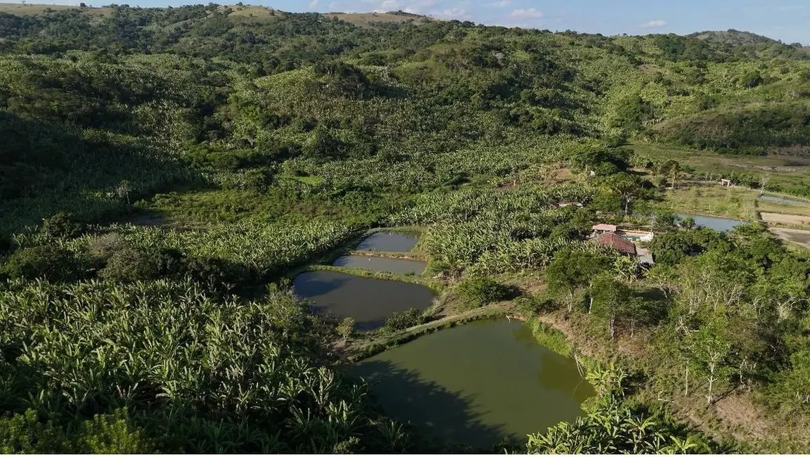 Foto 7 de Chácara com 3 quartos à venda em Distritos, Bananeiras - PB