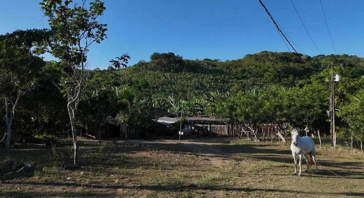 Foto 6 de Chácara com 3 quartos à venda em Distritos, Bananeiras - PB
