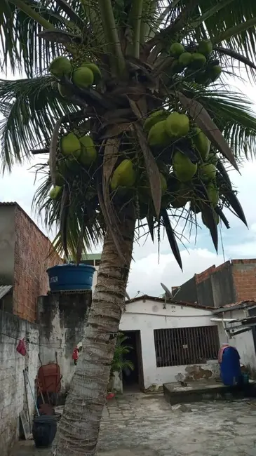 Casa com 3 quartos à venda, 418m2 em Centro, Solanea - PB - imagem 5 Foto 5 de Casa com 3 quartos à venda, 418m2 em Centro, Solanea - PB