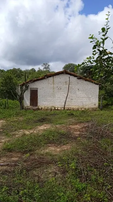 Foto 4 de Fazenda / Haras com 4 quartos à venda, 16777215m2 em Floriano - PI
