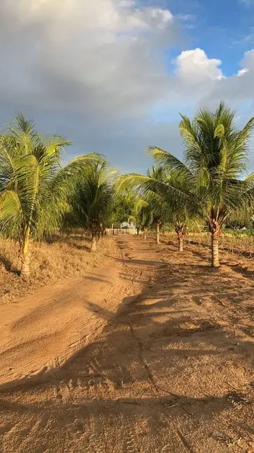 Foto 8 de Sítio / Rancho à venda, 140000m2 em Sobrado - PB