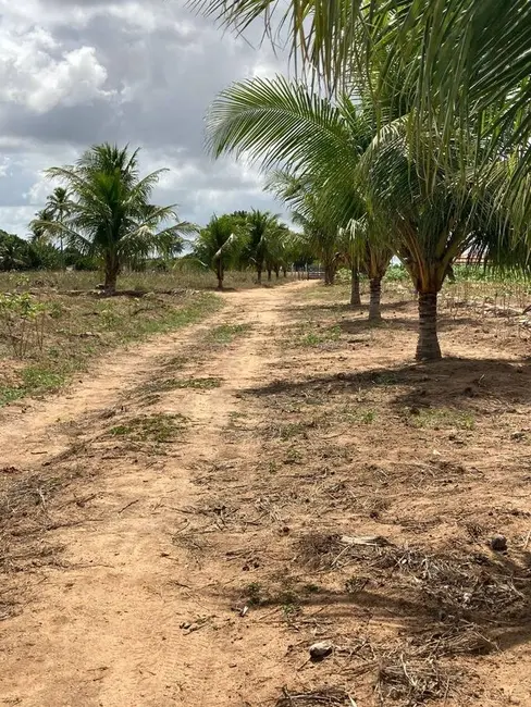 Foto 7 de Sítio / Rancho à venda, 140000m2 em Sobrado - PB