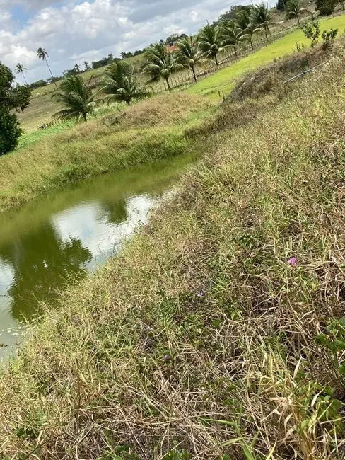 Foto 4 de Sítio / Rancho à venda, 140000m2 em Sobrado - PB