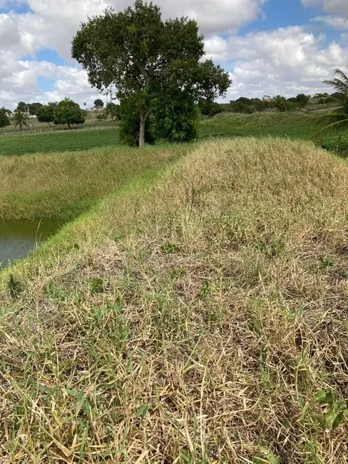 Foto 5 de Sítio / Rancho à venda, 140000m2 em Sobrado - PB