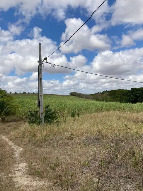 Foto 9 de Sítio / Rancho à venda, 140000m2 em Sobrado - PB
